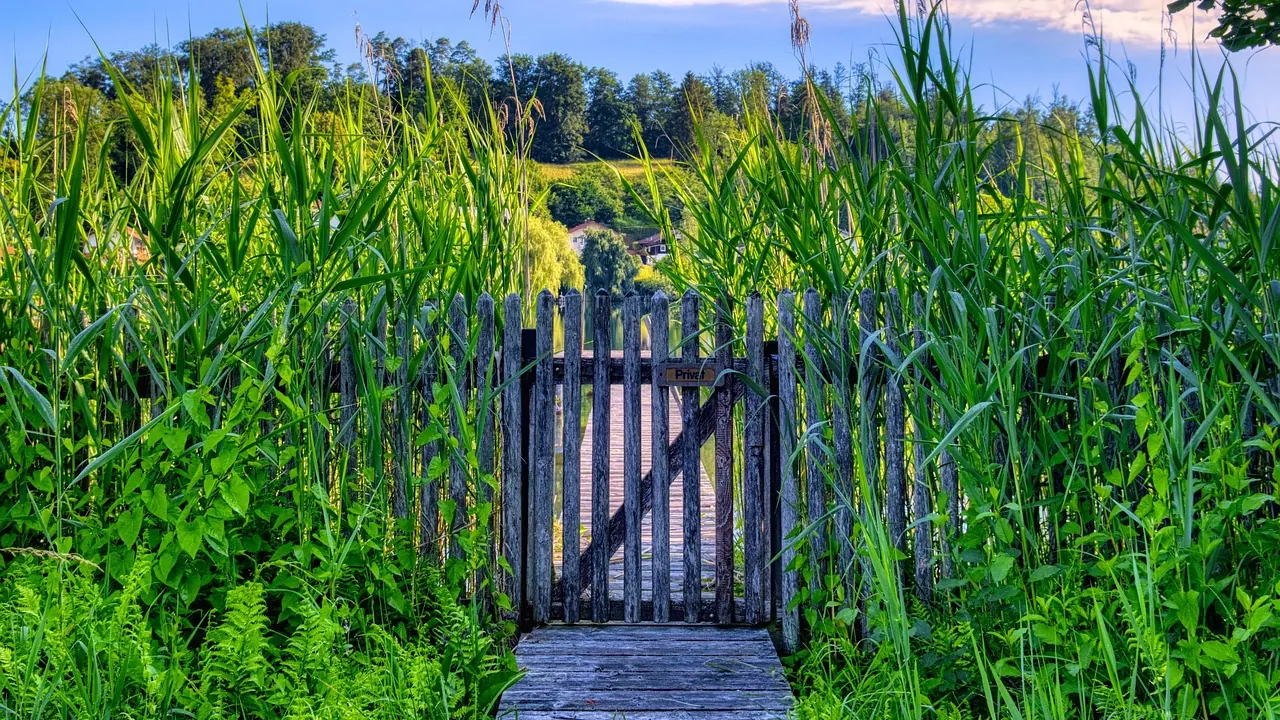 Un portillon de bois fermé au bout d’un caillebotis