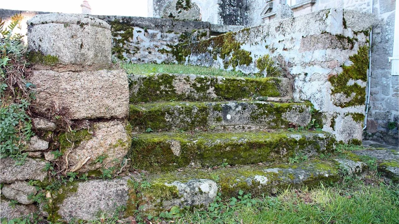 De vieilles marches de pierre usées et couvertes de mousse